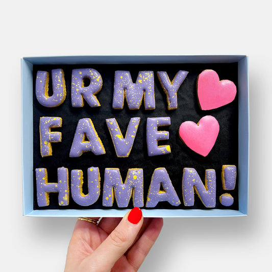 Ur My Fave Human! Letterbox Message Cookies