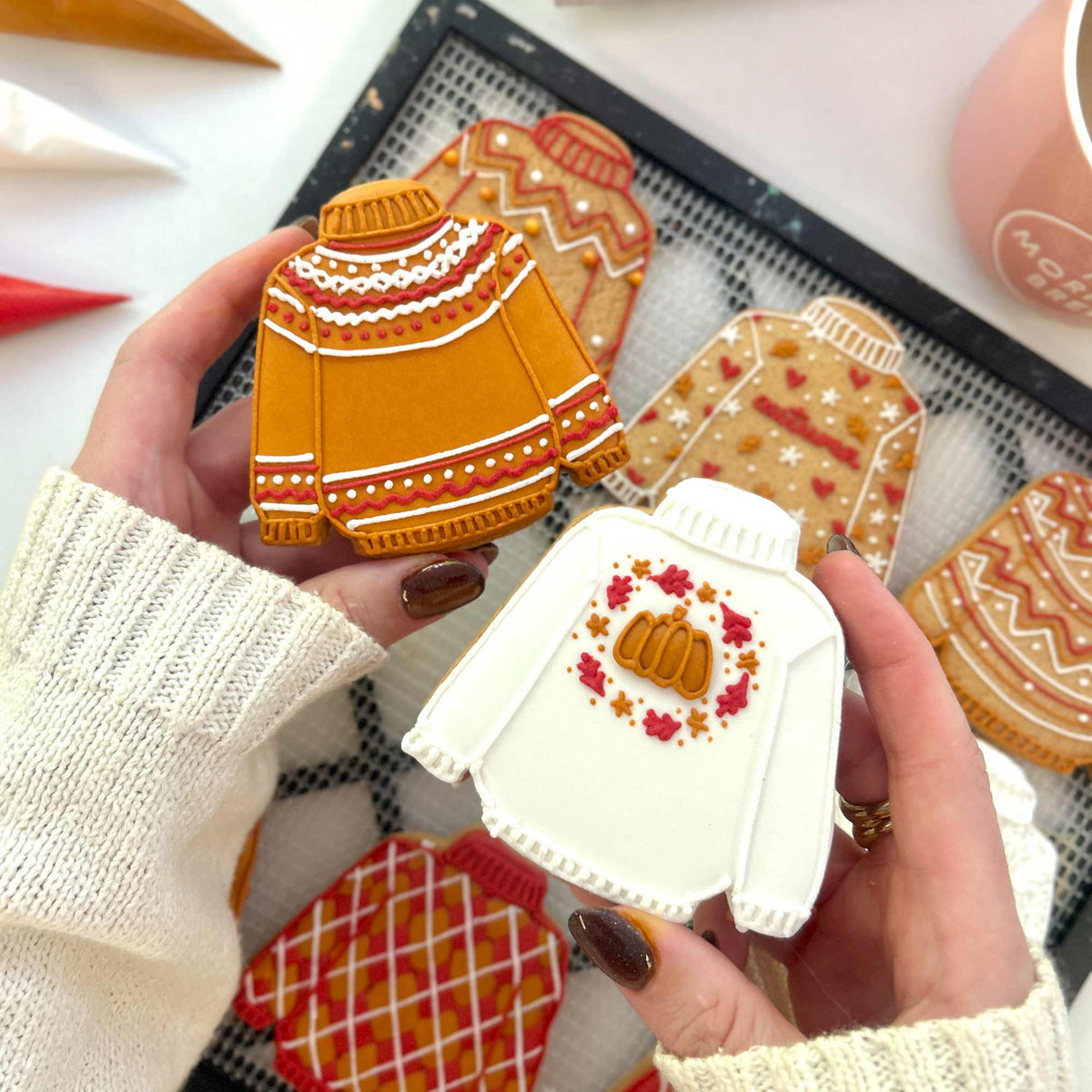 Autumn Jumper DIY Cookie Icing Kit