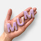 Vegan Best Mum Ever Mother's Day Letterbox Message Iced Cookies