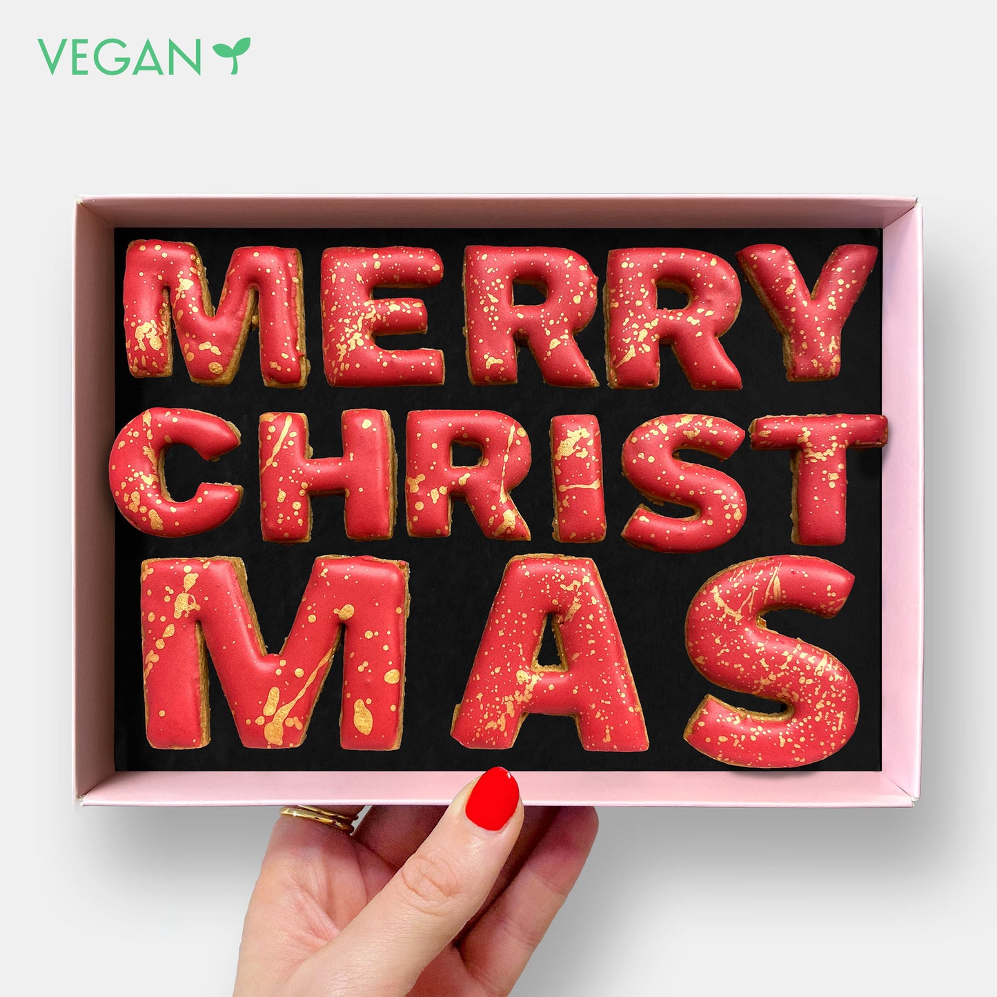 Vegan Merry Christmas Message Letterbox Iced Cookies