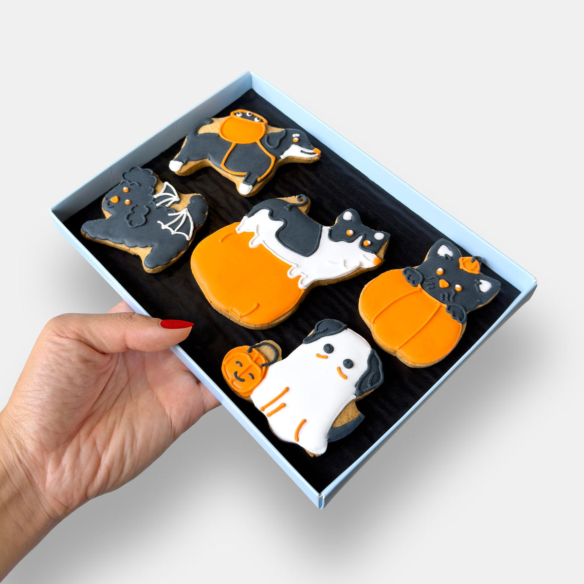 Personalised Spooky Dog Halloween Letterbox Iced Cookies