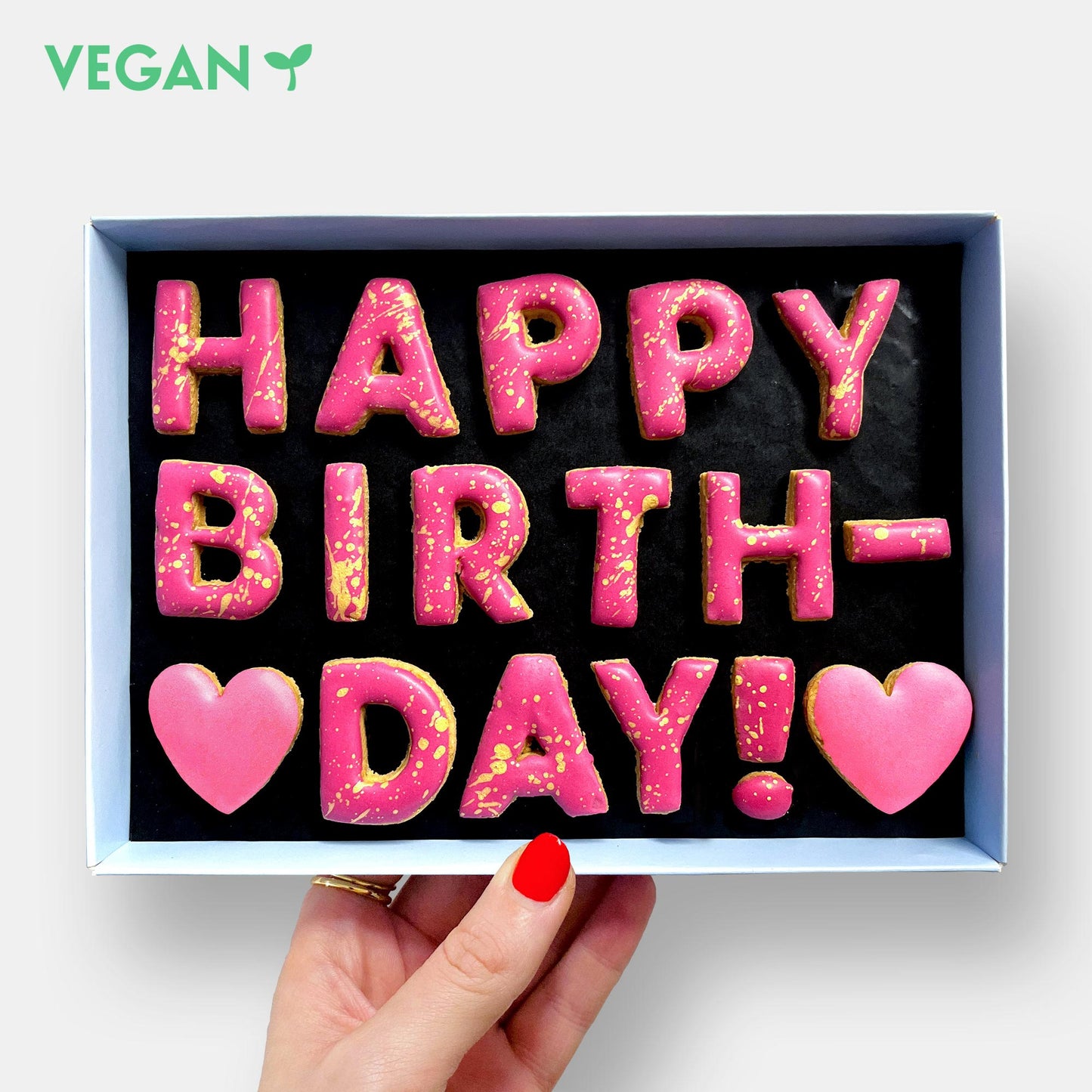 Vegan Happy Birthday Letterbox Message Iced Cookies